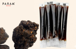 Shilajit Honey Sticks